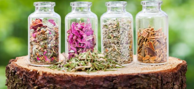 Nature's treasure trove